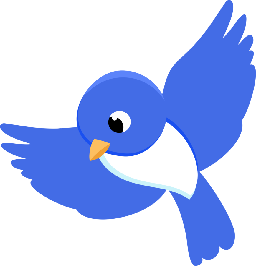 Blue Bird Cartoon Graphic PNG image