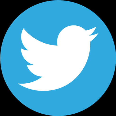 Blue Bird Social Media Icon PNG image