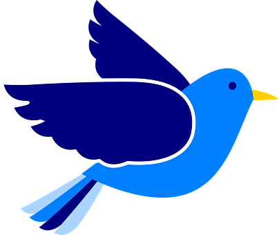 Blue Bird Vector Art PNG image