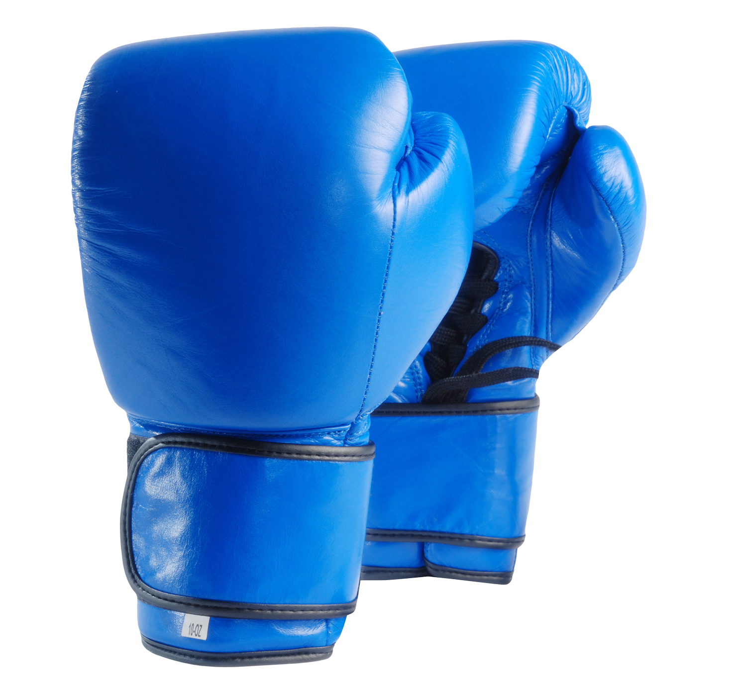 Blue Boxing Gloves Isolated PNG image