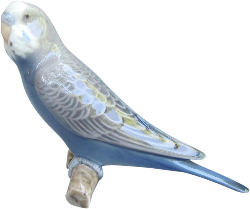 Blue Budgerigar Profile PNG image