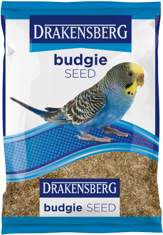 Blue Budgie On Seed Package PNG image