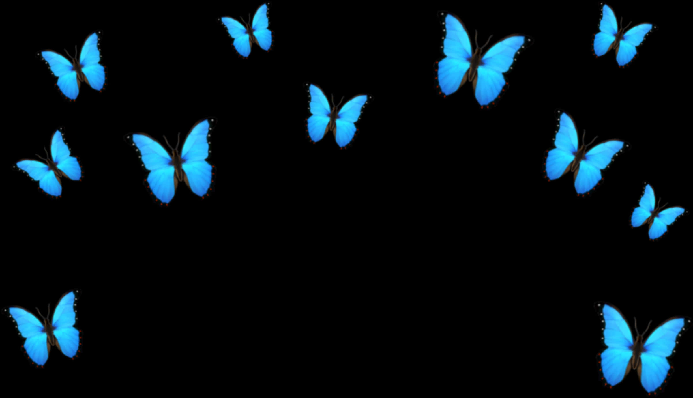 Blue Butterflies Black Background PNG image