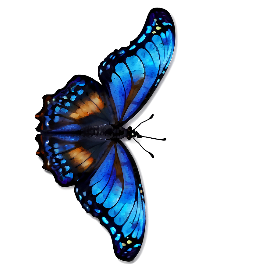 Blue Butterfly Close-up Png Nkg34 PNG image