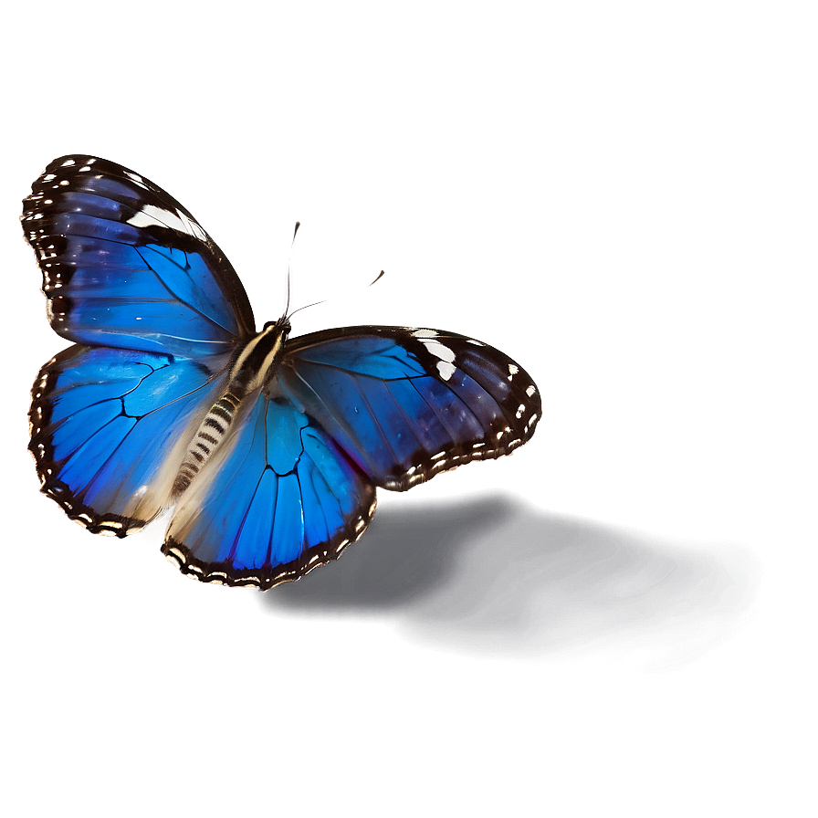 Blue Butterfly In Flight Png 47 PNG image