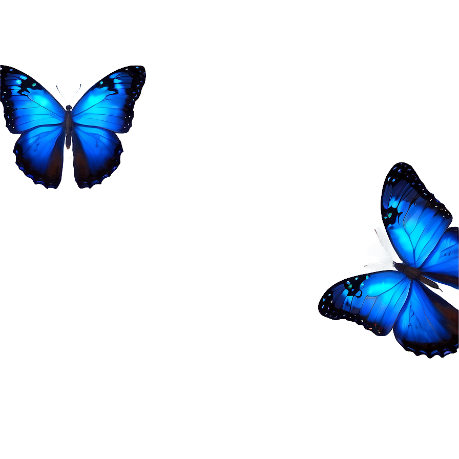 Blue Butterfly Under Moonlight Png Dlv59 PNG image