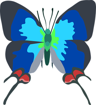 Blue Butterfly Vector Art PNG image