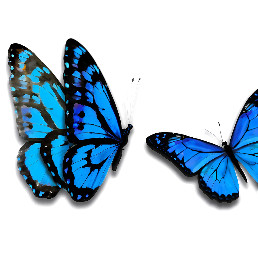 Blue Butterfly With Open Wings Png 05212024 PNG image