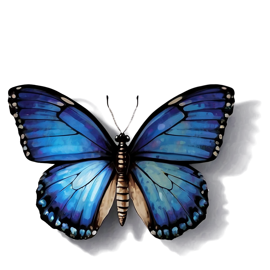 Blue Butterfly With Shadow Png Snw PNG image