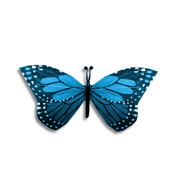 Blue Butterflyon Black Background PNG image