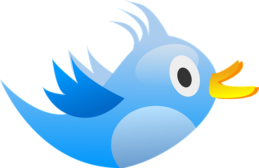 Blue_ Cartoon_ Bird_ Vector PNG image