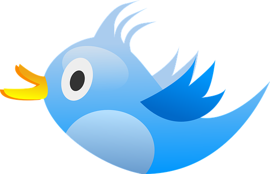 Blue_ Cartoon_ Bird_ Vector PNG image