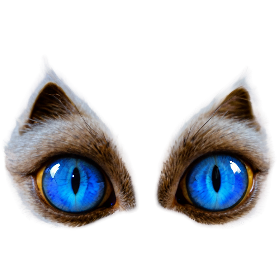 Blue Cat Eyes Png 92 PNG image