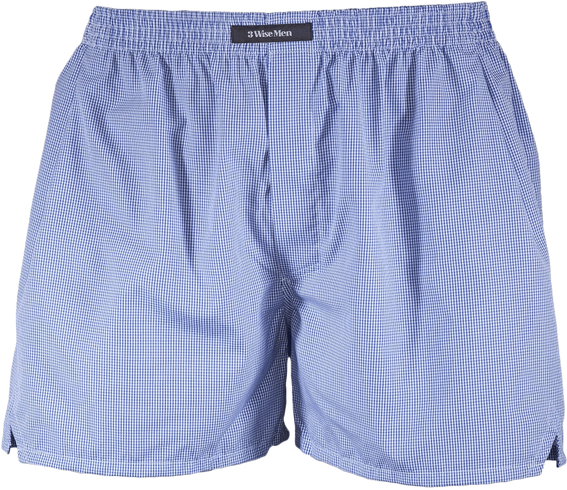 Blue Checkered Mens Boxer Shorts PNG image