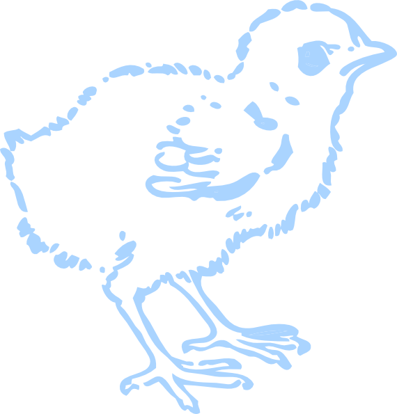 Blue Chick Sketch Outline PNG image