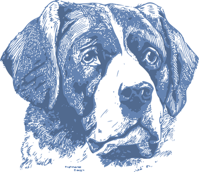 Blue Dog Sketch Art PNG image