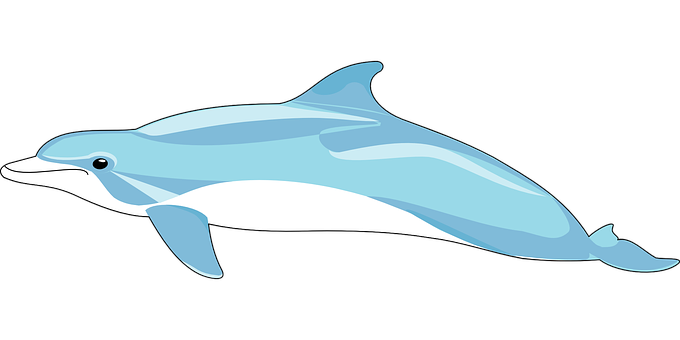 Blue Dolphin Illustration PNG image