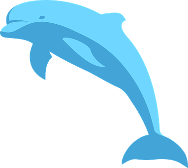 Blue Dolphin Vector Art PNG image