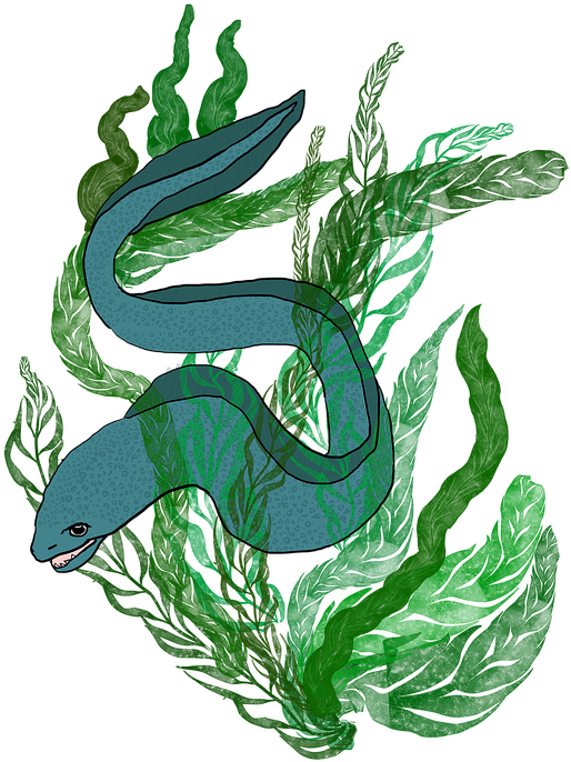 Blue Eel Among Seaweed Illustration PNG image