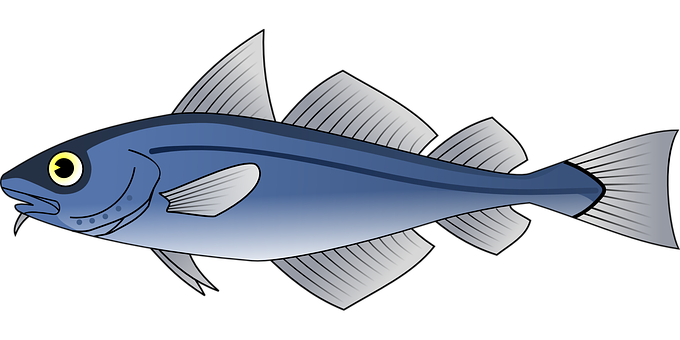 Blue Fish Illustration PNG image