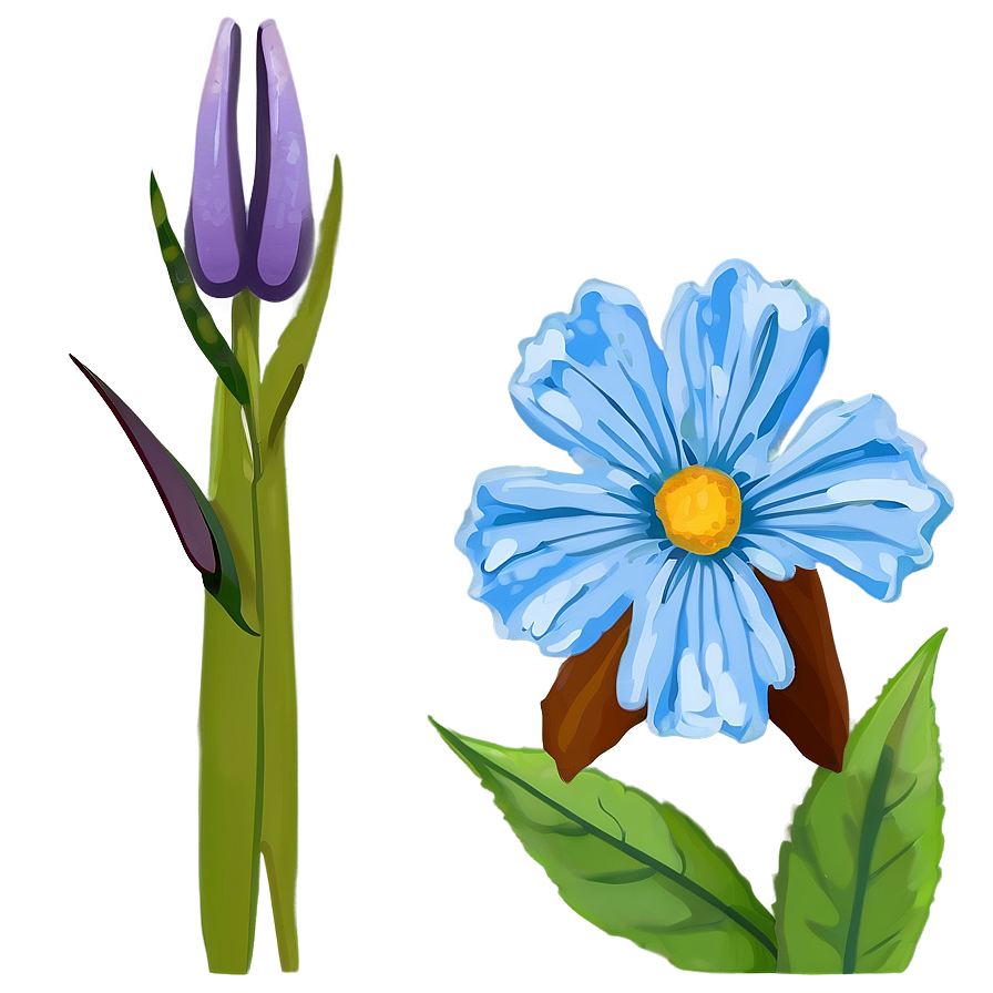 Blue Flower Bloom Png 05242024 PNG image