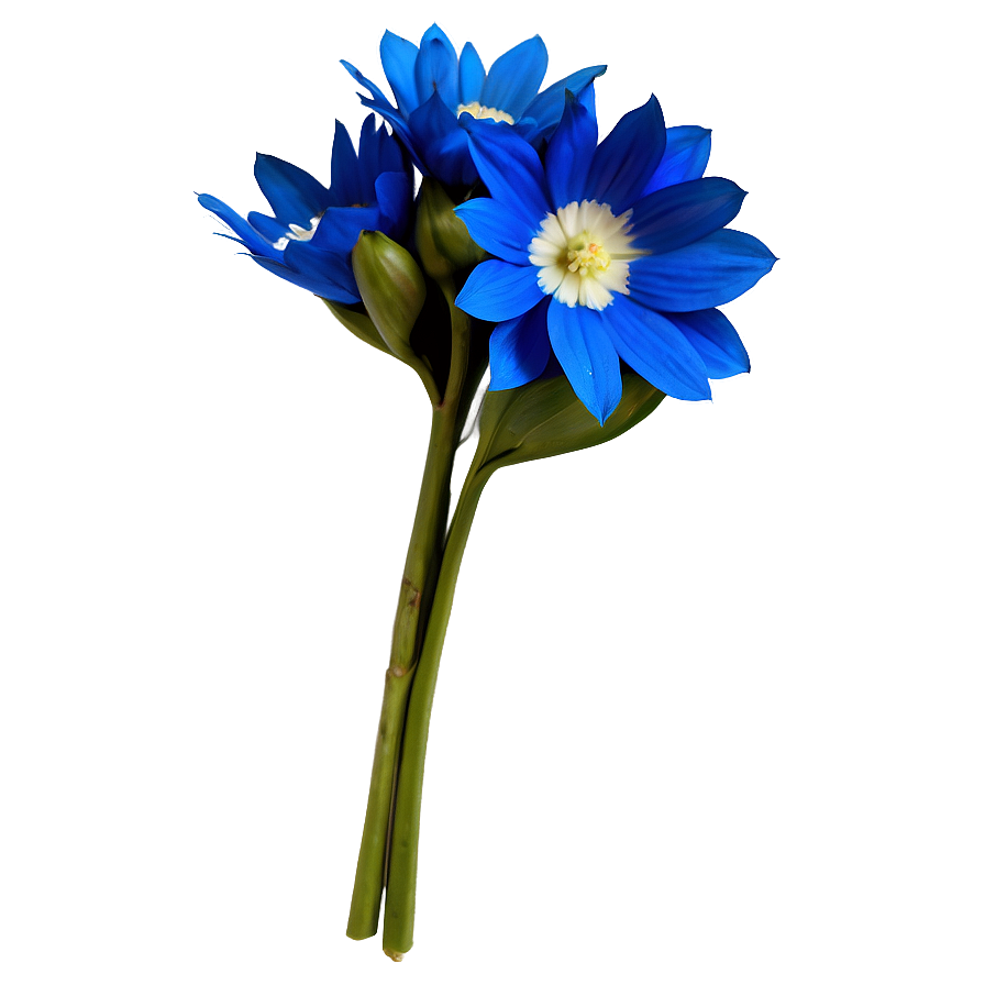 Blue Flower Bouquet Png 05242024 PNG image