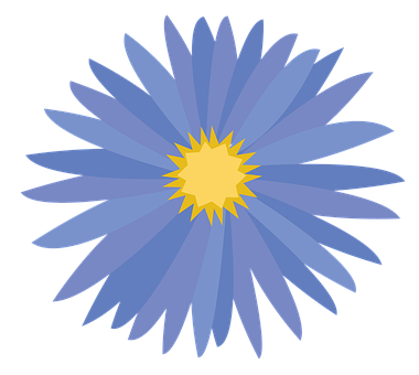 Blue Flower Illustration PNG image