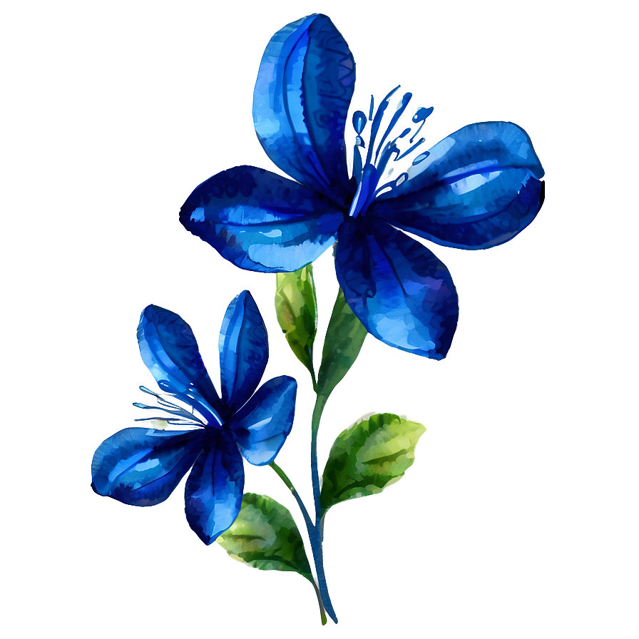 Blue Flower Watercolor Png 49 PNG image