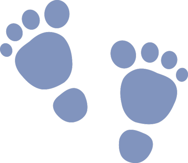 Blue Footprint Graphic PNG image