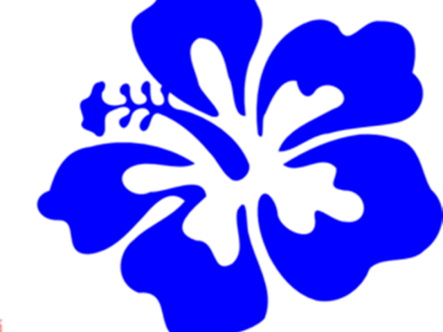 Blue Hawaiian Hibiscus Graphic PNG image