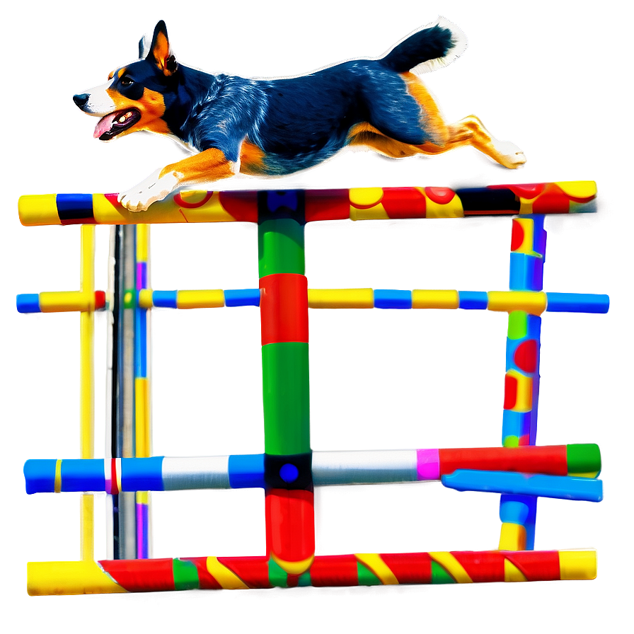 Blue Heeler Agility Course Png Yeb4 PNG image