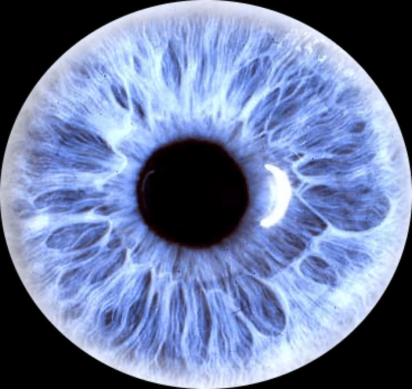 Blue Human Eye Closeup PNG image