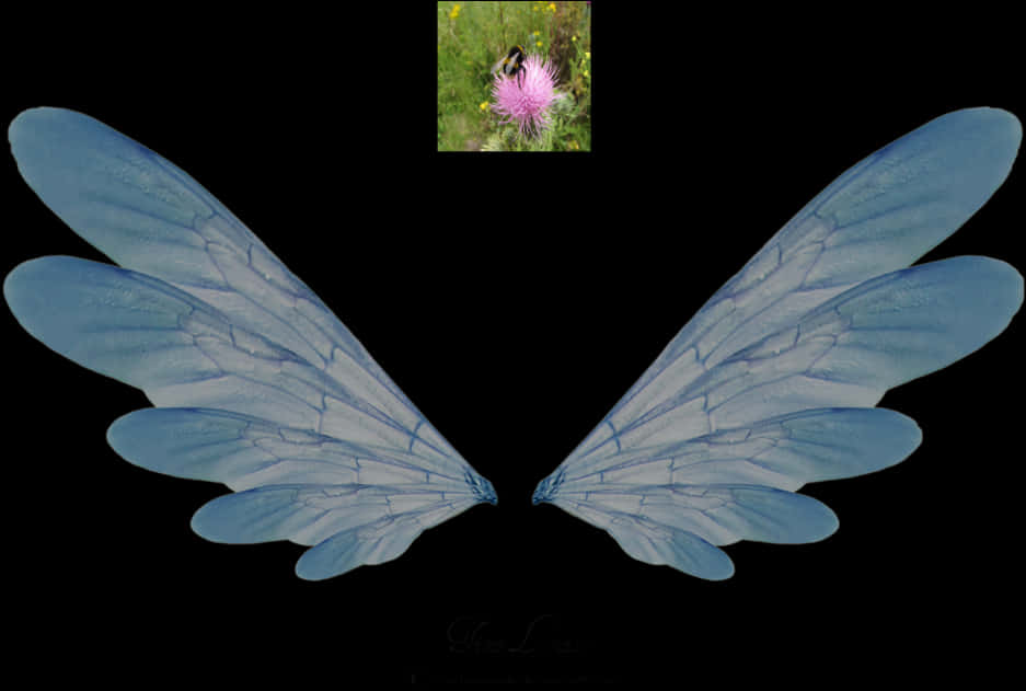 Blue Insect Wings Artistic Representation PNG image