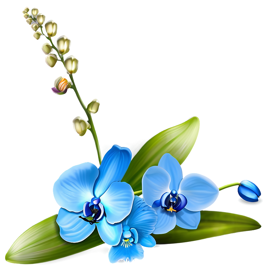 Blue Orchid Png Dbh PNG image