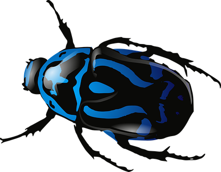 Blue Patterned Beetle Illustration PNG image