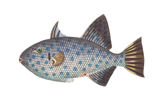 Blue Patterned Tropical Fish PNG image