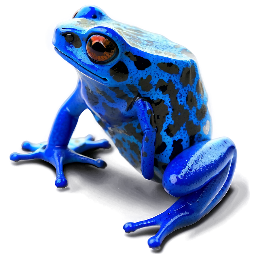 Blue Poison Dart Frog Png Dwv PNG image