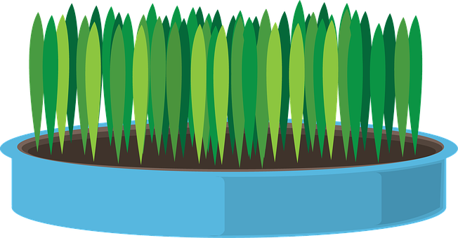 Blue Pot Green Grass Vector PNG image