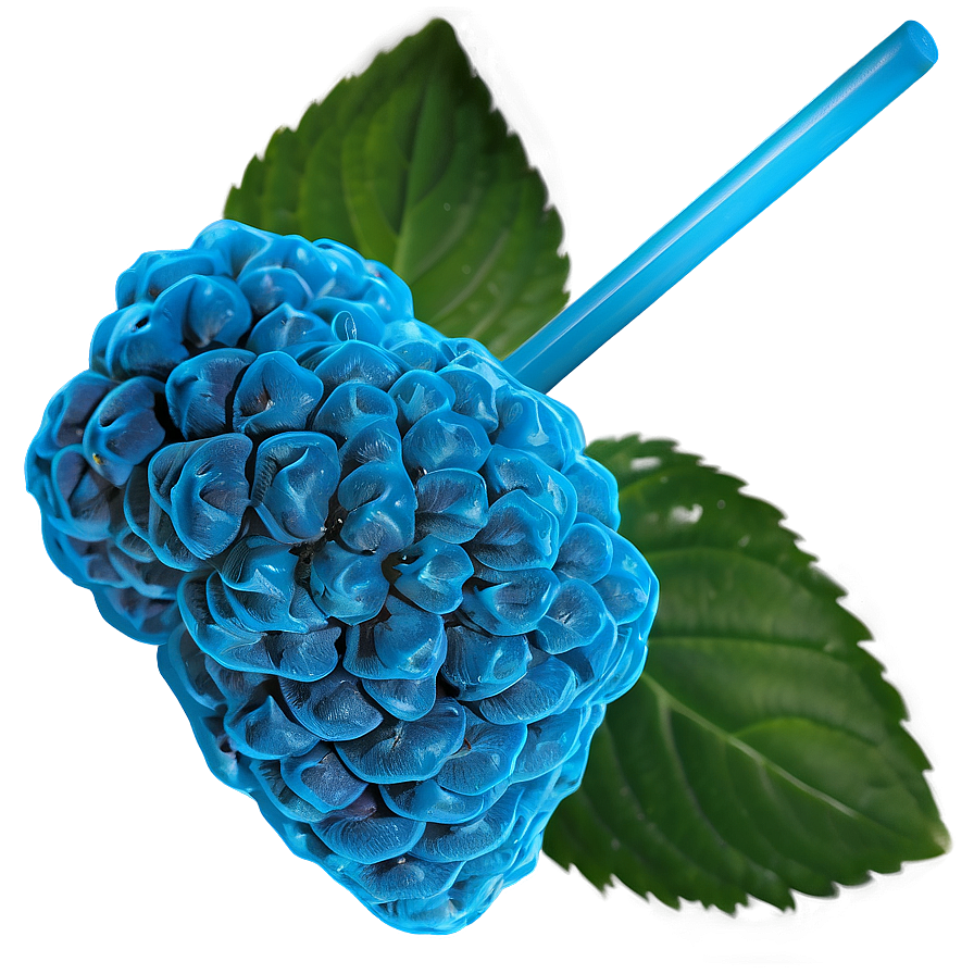 Blue Raspberry Haze Png 46 PNG image