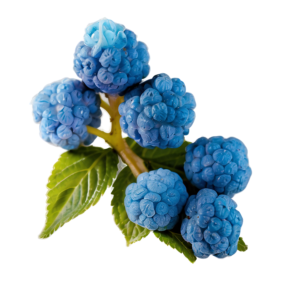 Blue Raspberry Haze Png 68 PNG image