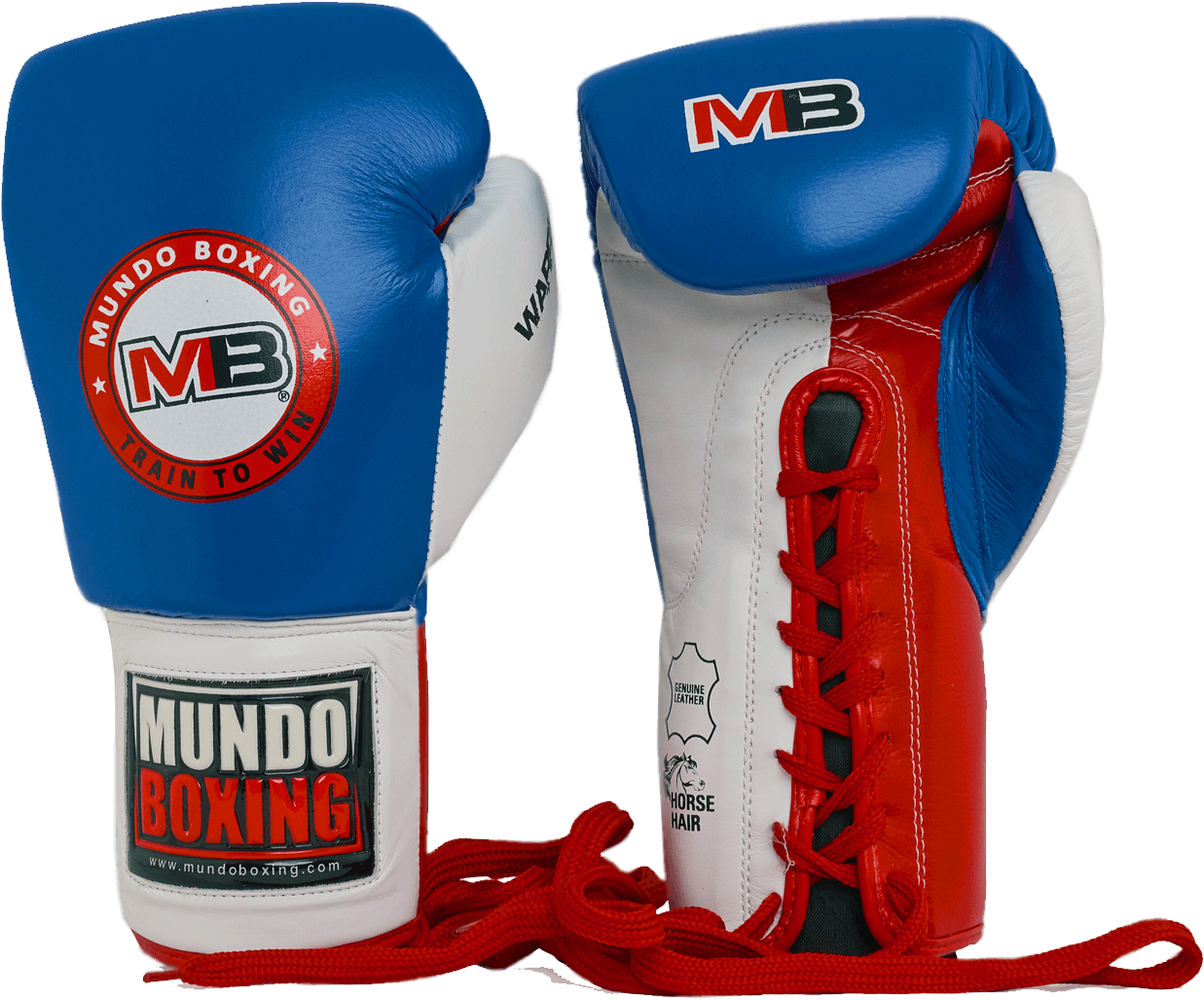 Blue Red Mundo Boxing Gloves PNG image