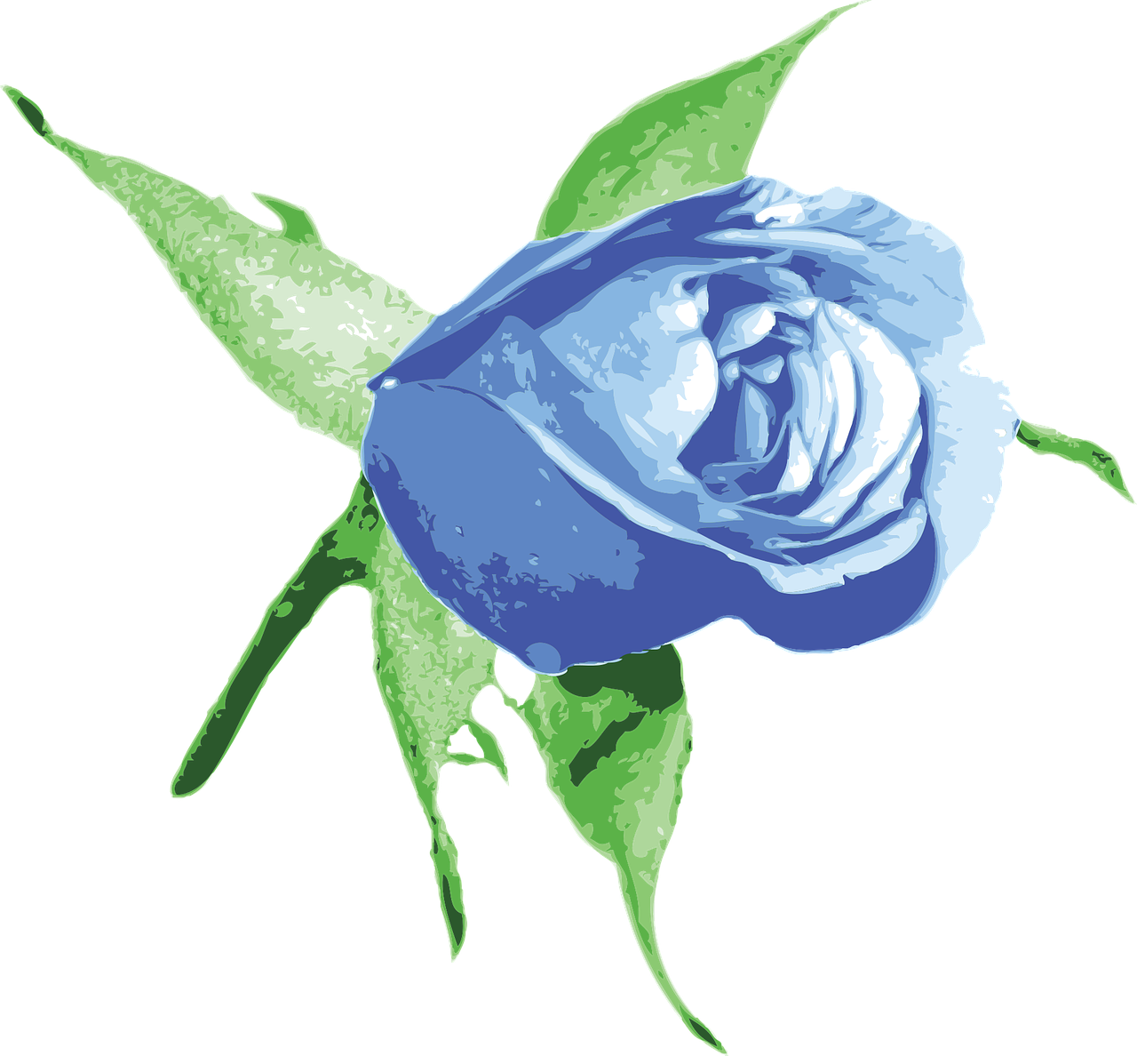 Blue Rose Illustration.png PNG image