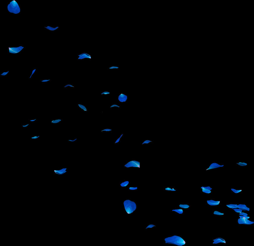 Blue Rose Petals Falling Dark Background PNG image