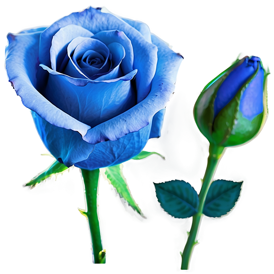 Blue Rose Png Uso PNG image