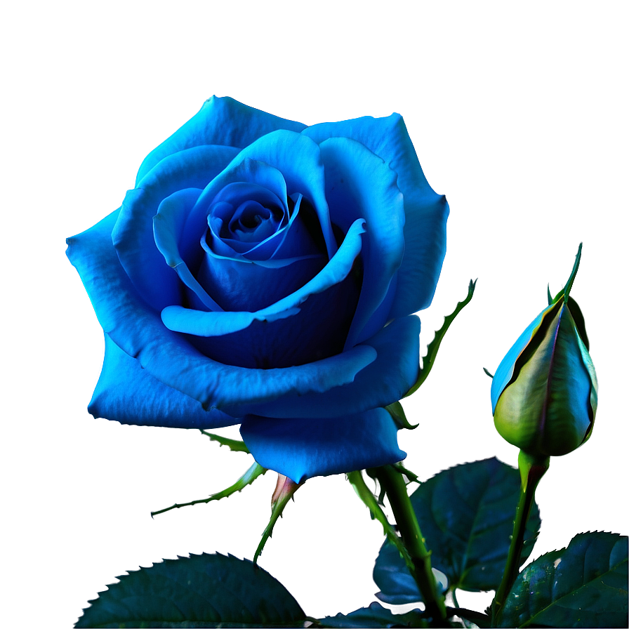 Blue Roses Fantasy Png 68 PNG image