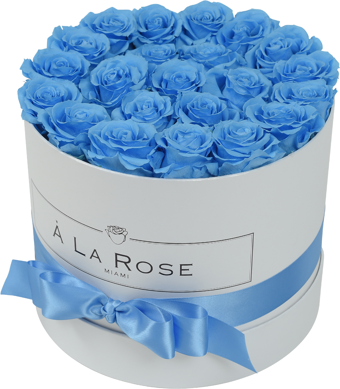 Blue Rosesin White Round Boxwith Ribbon PNG image