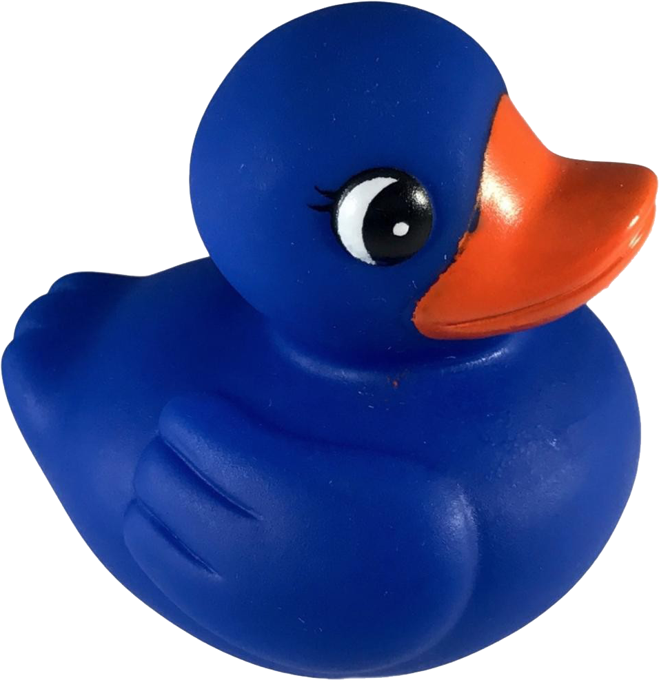 Blue Rubber Duck Toy PNG image