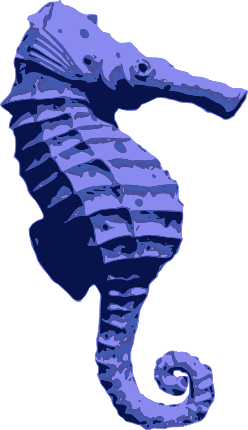 Blue Seahorse Illustration PNG image