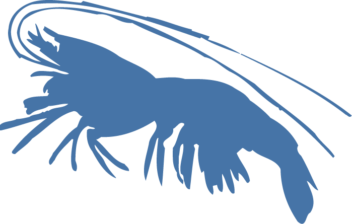 Blue Shrimp Silhouette PNG image