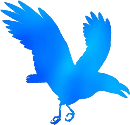 Blue Silhouette Raven Flying PNG image